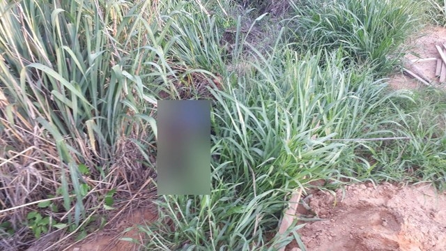 Mulher foi assassinada com facada e corpo foi encontrado em mata 3 dias depois em Sorriso  Foto: Arquivo pessoal