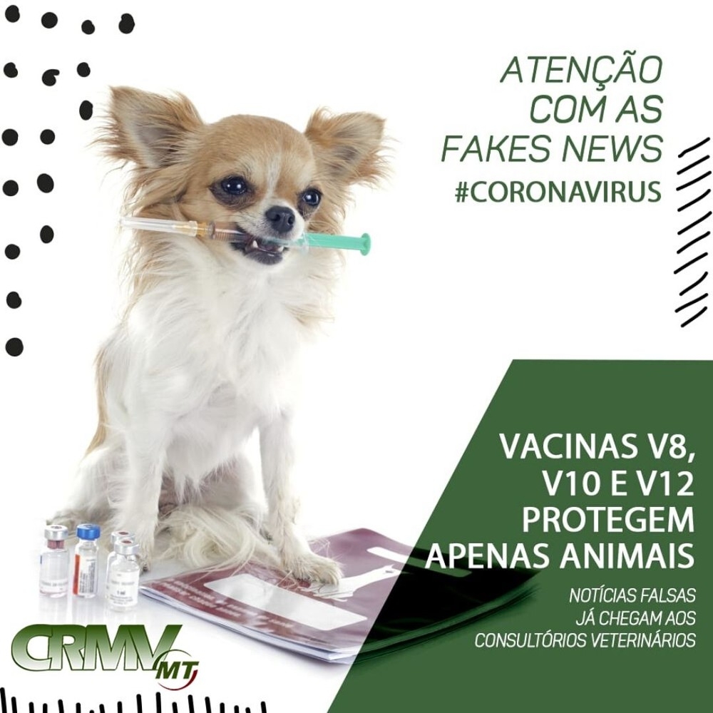 Conselho de Medicina Veterinria em MT explica que vacina para ces contra coronavrus no protege contra Covid-19  Foto: CRMV-MT