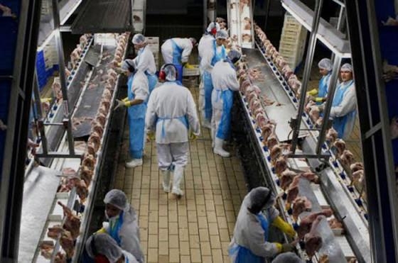 A Marfrig  uma das empresas que garante o pleno funcionamento durante a crise