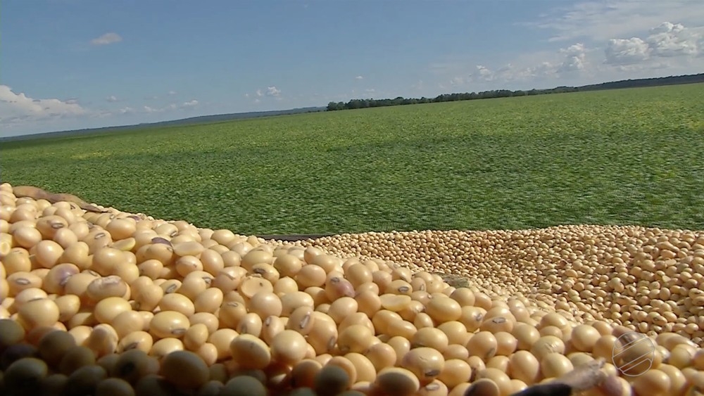 Apesar da crise, produo de gros bate recorde