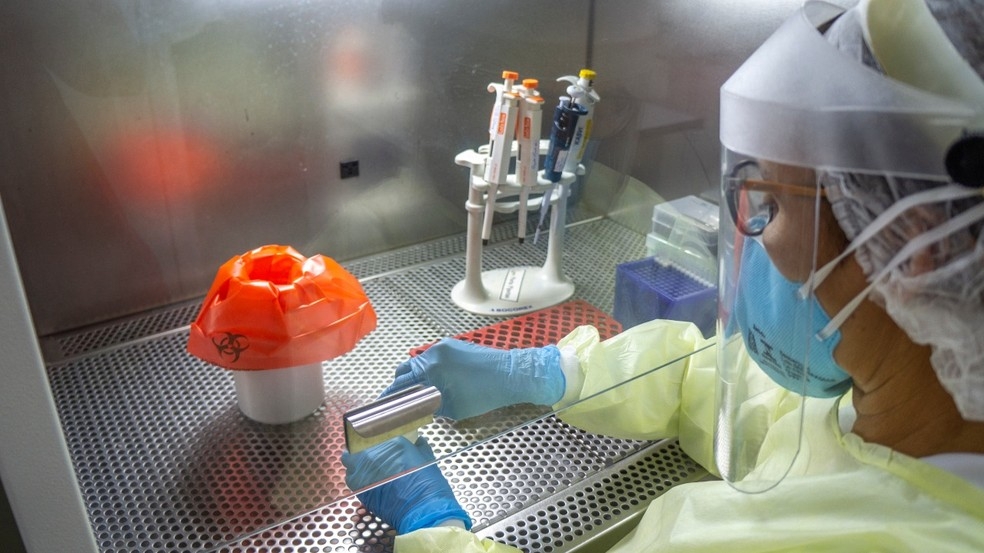 An�lise laboratorial do novo coronav�rus em amostras � Foto: GEA/Divulga��o