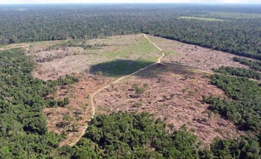 Em junho, foram mais de 1.000 km² destruídos, maior área da série histórica, iniciada em 2015