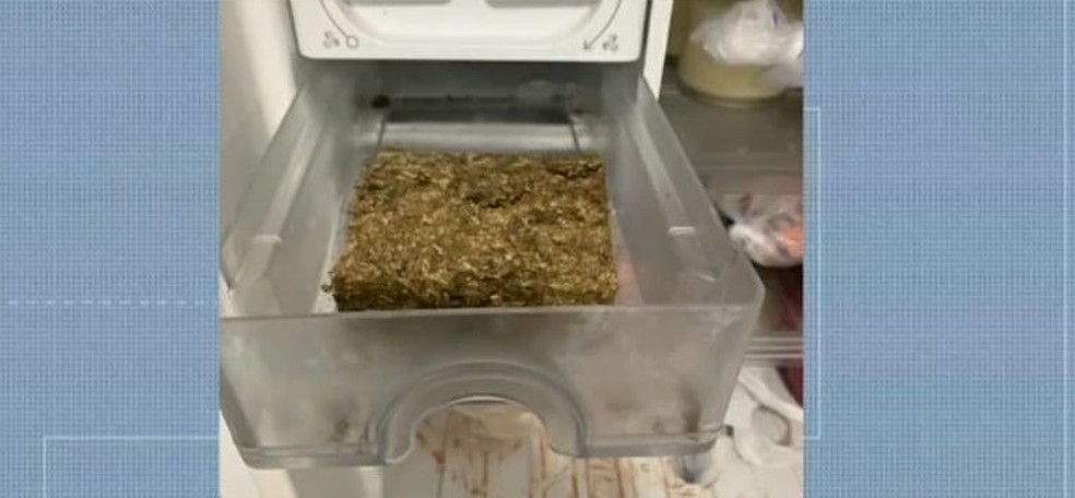 Droga foi encontrada no congelador  Foto: Polcia Civil