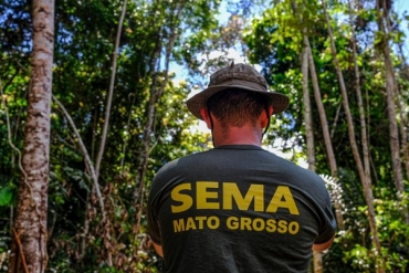 Operação Amazônia Arco Norte na região de Aripuanã - Desmatamento — Foto: Mayke Toscano/Secom-MT