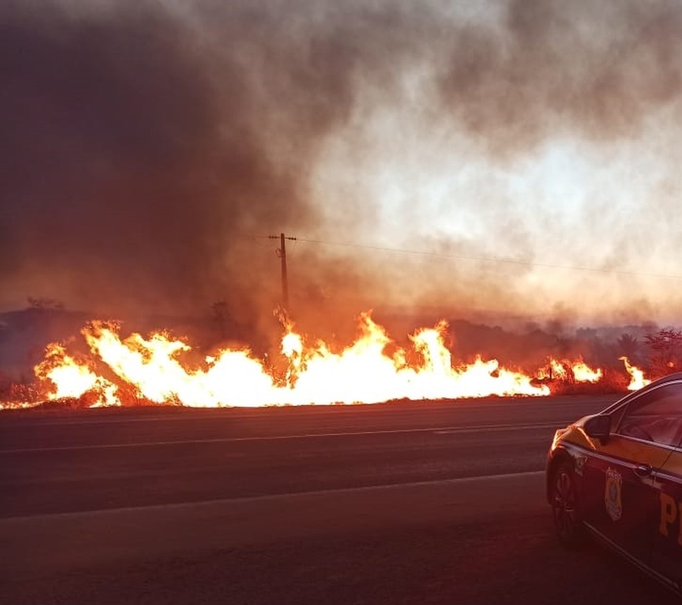 Fogo em palhada de milho em Sinop atinge 300 hectares de vegetao  Foto: PRF/MT