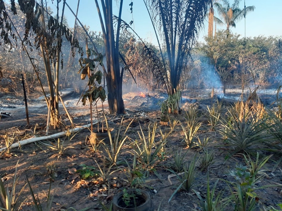 Incndio atinge propriedades rurais na regio norte  Foto: Defesa Civil de Sorriso - MT