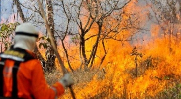Na quarta-feira, houve focos de incndio no Morro da Luz e muitos terrenos, na Capital