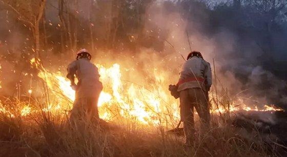 O deputado criticou tambm a estrutura, a organizao e atraso no combate aos incndio
