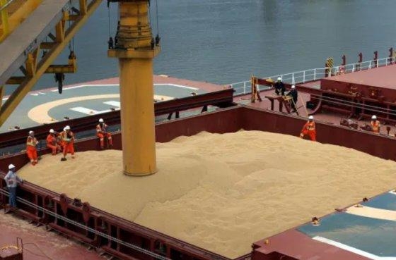 Em 2020, o principal produto exportado pelo Estado tem sido a soja em gro