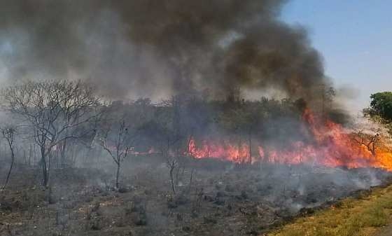 A imensa maioria dos recursos  94%  saem do caixa apenas quando as queimadas j comearam - como no Cerrado