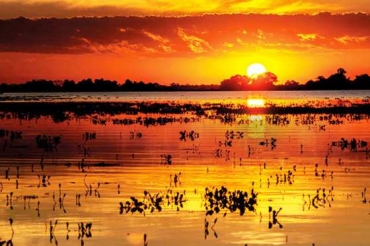 Segundo pesquisa da Unemat, o Pantanal tem 13% mais de dias sem chuva do que nos anos 60 e massa de gua 16% menor