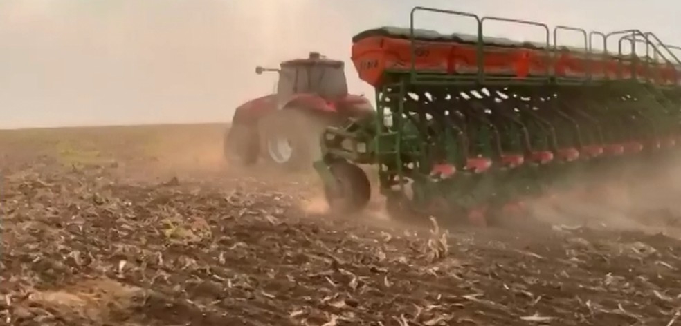 Plantio de soja est atrasado no estado  Foto: Reproduo/TVCA
