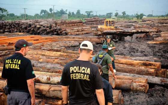 A operação Arquimedes da PF resultou na apreensão de centenas containers de madeira extraída ilegalmente