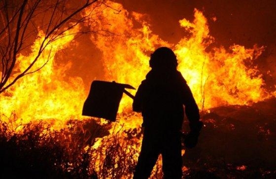 A maioria dos incêndios no bioma “teve origem em alguma forma de ação humana”