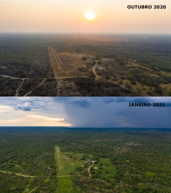 Antes e depois das queimadas em reserva no Pantanal de MT  Foto: Gabriela Schuck