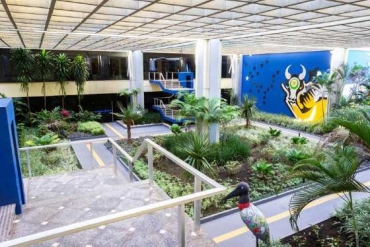 O Governo tambm reduzir as atividades nas reparties pblicas