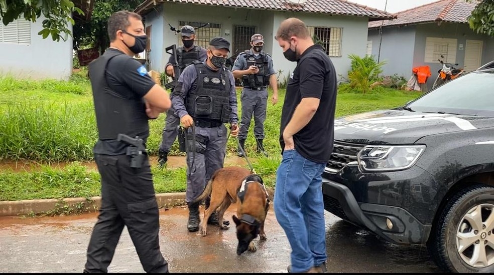 Co farejador ajudou nas buscas  Foto: Polcia Civil