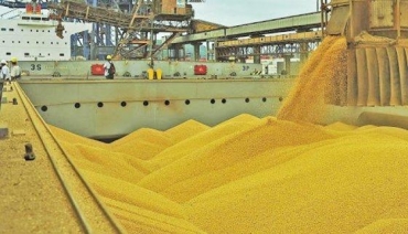Mato Grosso � maior exportador agropecu�rio do Brasil