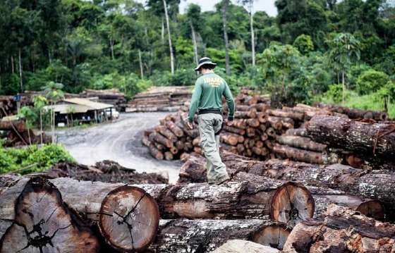 Levantamento detectou extração ilegal em 168 mil hectares no Estado de Mato Grosso