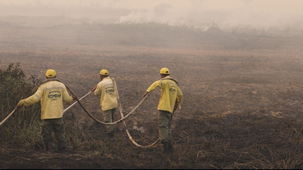 Entidades ligadas ao meio ambiente alertam para riso de incêndios no Pantanal — Foto: SOS Pantanal/Divulgação