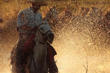 O mundo perfeito do cavaleiro com sua montaria e as guas