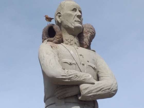 O joão-de-barro, ao lado de outro de sua espécie, fez casa no ombro amigo da estátua de Rondon