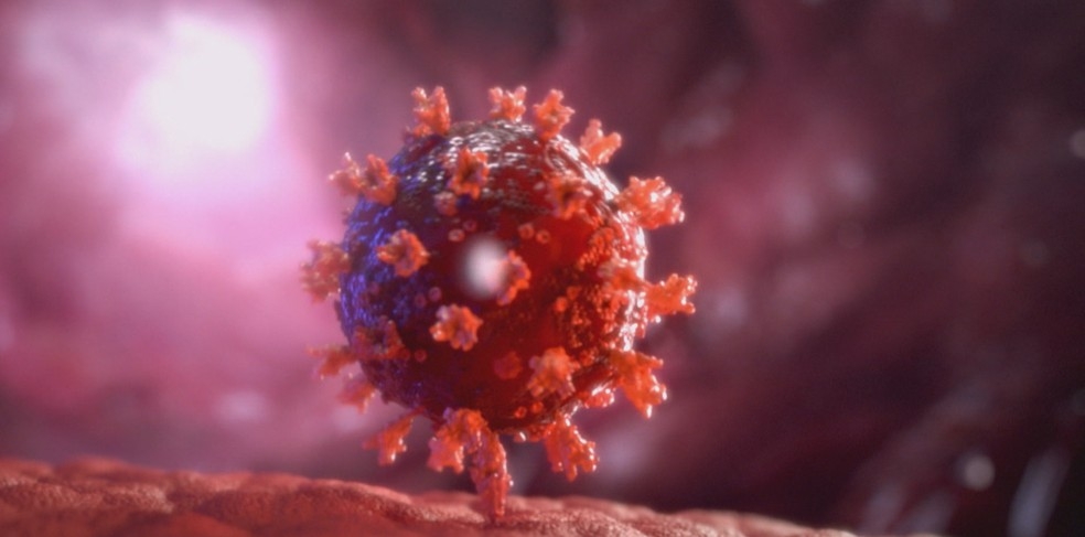 Vacinas da AstraZeneca e da Pfizer so eficazes contra variante brasileira do coronavrus  Foto: JN