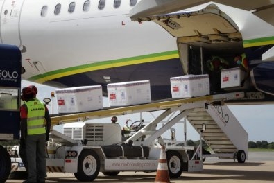 Vacinao contra a Covid-19 se estende aos profissionais da Educao  Foto: MPMT/Divulgao