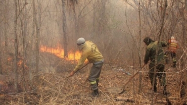 Equipe multidisciplinar vai aplicar tcnicas de manejo do fogo no Pantanal  Foto: Silvio de Andrade