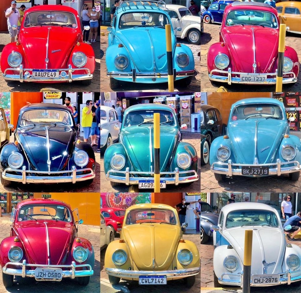 Apaixonados por fusca mantm relquias em Cuiab  Foto: Divulgao