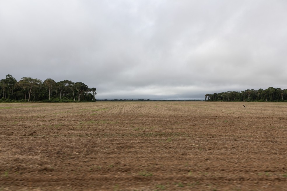 Vista da BR-163, estrada que liga Par a MT  Foto: Marcelo Brandt/G1