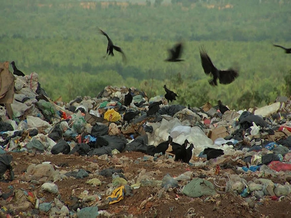 Aterro sanitrio de Vrzea Grande  Foto: Reproduo/TVCA