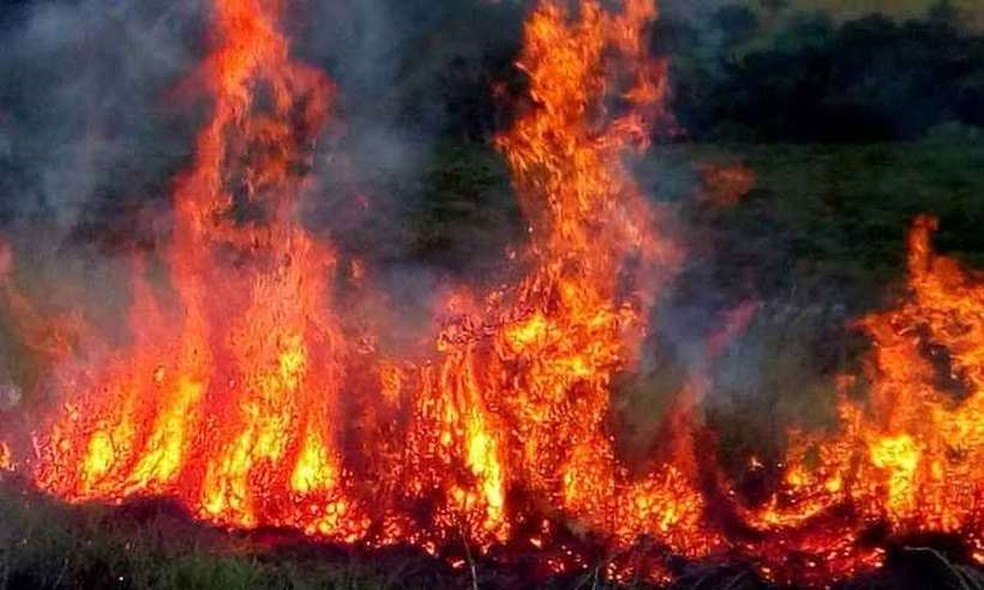 Mato Grosso lidera focos de calor — Foto: Corpo de Bombeiros