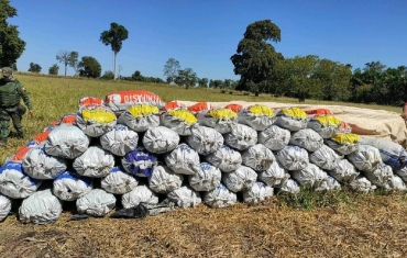 Mais de trs toneladas de carvo ilegal foram apreendidas  Foto: PM-MT