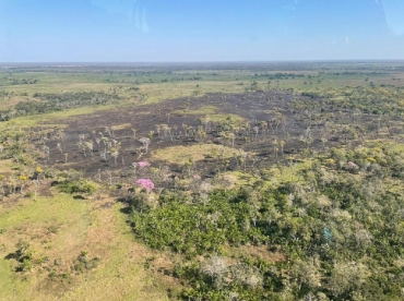 Incndio destri terra indgena no Pantanal  Foto: CBM-MT