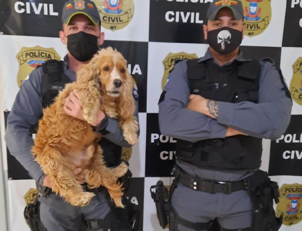 Cachorro furtado de famlia  recuperado pela PM  Foto: PM/MT