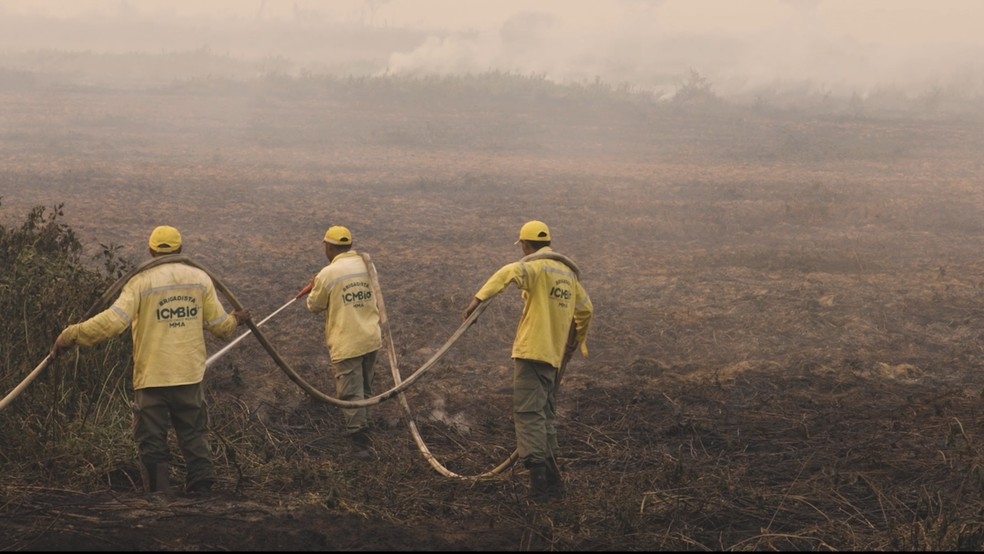 Entidades ligadas ao meio ambiente alertam para riso de incndios no Pantanal  Foto: SOS Pantanal/Divulgao