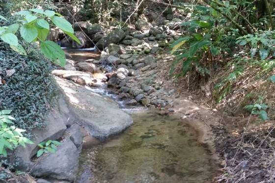 Projeto prev investimento de R$ 1,2 milho na recuperao de crregos em VG