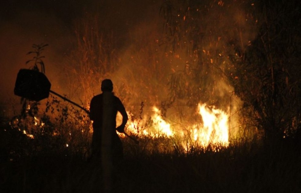 Queimadas em MT  Foto: GOV-MS/Reproduo