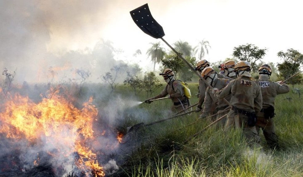 Trabalho dos brigadistas são essenciais para a combate dos incêndios no Pantanal. — Foto: GOV-MS/Reprodução
