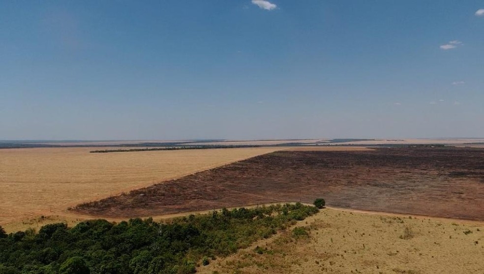 Área de fazenda foi devastada pelo fogo em MT — Foto: Corpo de Bombeiros