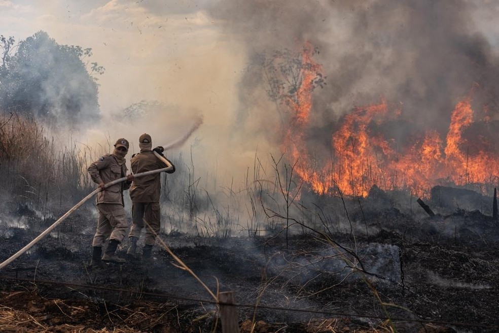 Pantanal foi atingido por fortes incêndios em 2020 — Foto: GOVMS/Reprodução