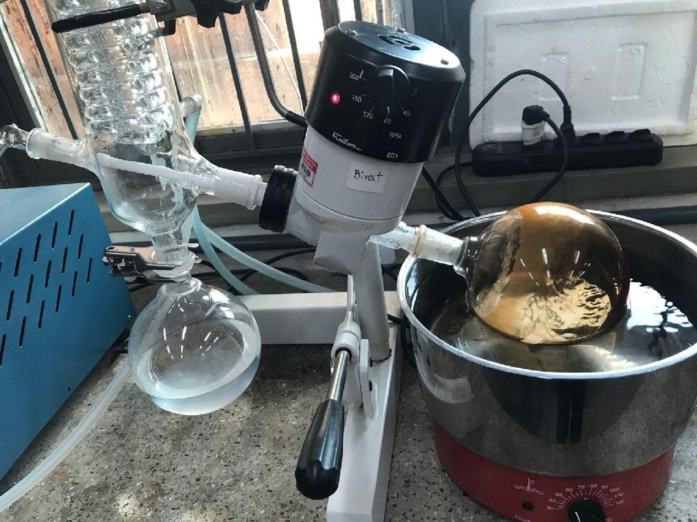 Compostos da rvore cedro so analisados por pesquisadores da UFMT  Foto: Fapemat/Divulgao