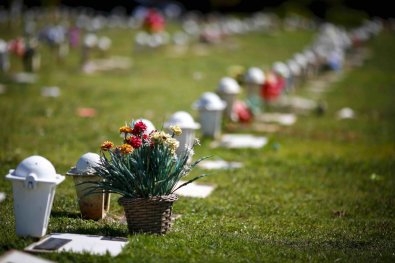 Sars CoV-2, o novo coronavrus causador da Covid-19  Foto: Foto: Mayo Clinic