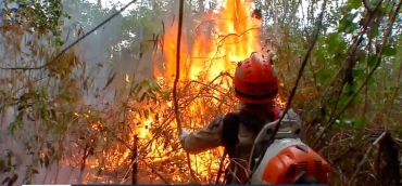 Incndio que atinge a Terra Indgena Umutina, em Barra do Bugres (MT), j destruiu uma rea equivalente a mais de 4 mil campos de futebol  Foto: TV Centro Amrica