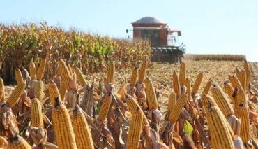 O setor movimenta a economia, gera empregos e impulsiona o agro brasileiro