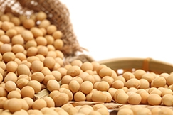 Dos mais de US$ 17 bilhes, US$ 9,9 bilhes vieram das exportaes da soja em gro