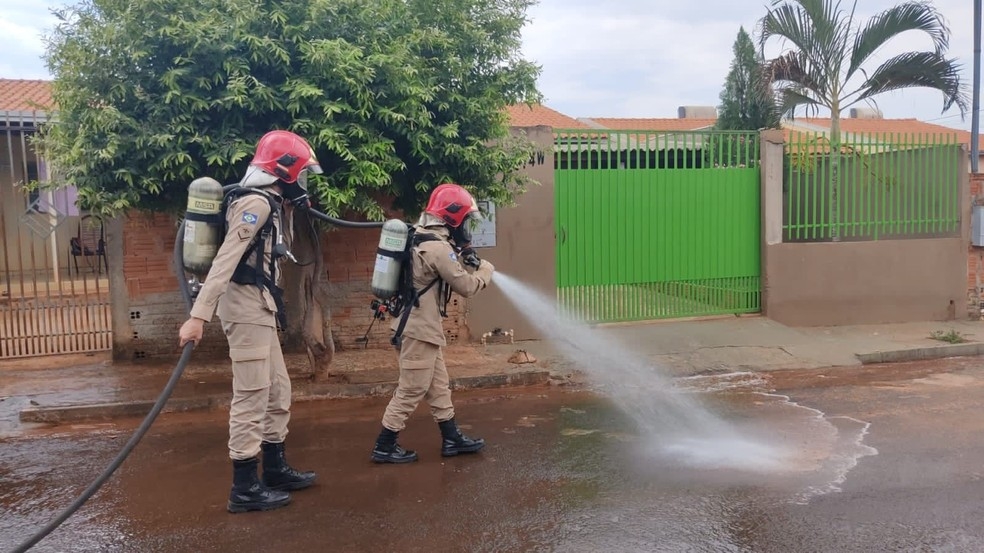 Bombeiros foram acionados para lavar rua onde substncia txica foi despejada  Foto: Polcia Civil