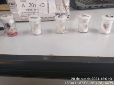 Aps contato da polcia, o suspeito deslocou-se at a empresa, confessou ser dono dos animais e disse ter adquirido pela internet.