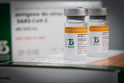 A CoronaVac foi a primeira vacina contra a Covid-19 a comear a ser aplicada no BrasilReproduo/Getty Images
